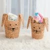 Coupon 🎁 Baum Essex Kids Water Hyacinth Round Bunny Baskets, Set Of 2 🤩